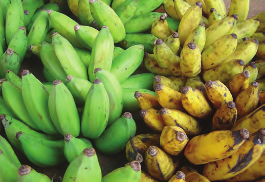 Mögliche Fragen 1. Ein Deutscher isst im Durchschnitt 10 kg Bananen im Jahr. Wie viele Bananen sind das in der Woche? 2. Wie viele Bananen hast du in deinem Leben schon gegessen?