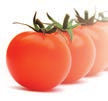 MELDUNGEN MILRAM Käse des Jahres als neues Konzept im Kühlregal Verkaufsstarker Zutatenkäse Tomate-Basilikum jetzt auch in der Selbstbedienung