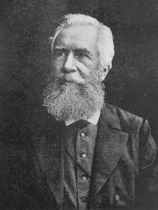 Wirbeltier Ernst Häckel 1834-1919 Fisch