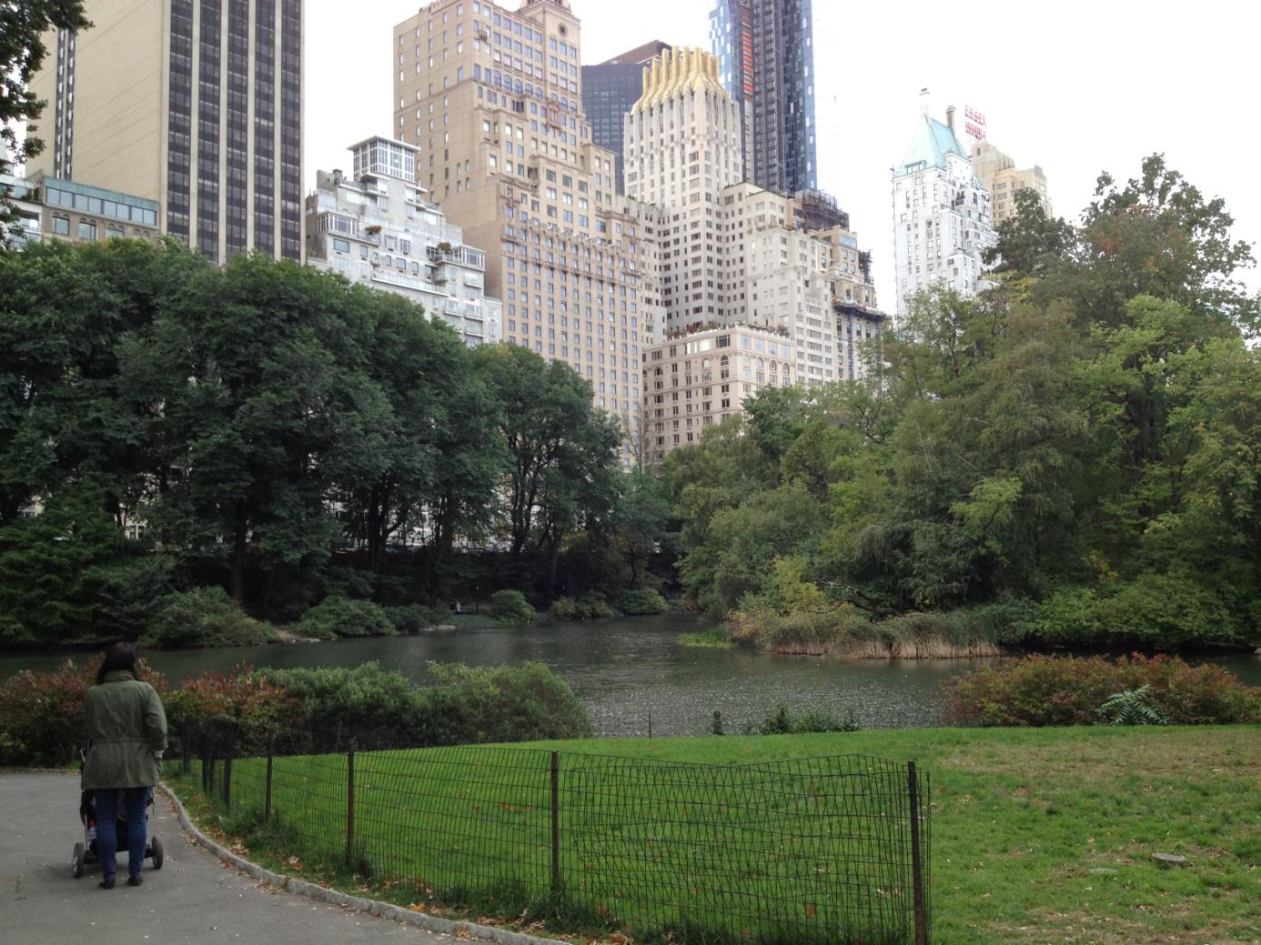 Blick aus dem Central Park in