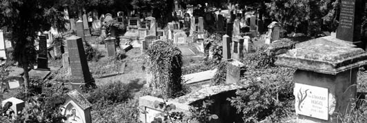 In der Vereinbarung über die Verwaltung und Pflege des Friedhofes steht zwar drin, dass die Ehrengräber und historische Gräber besonders beachtet und gepflegt werden.
