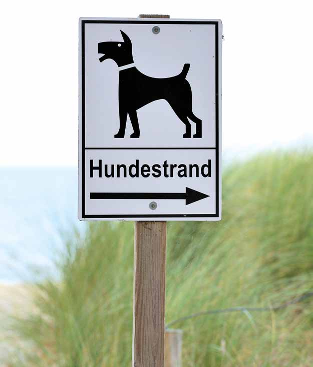 Einen Fernflug zu absolvieren, um anschließend am Strand in der Sonne zu brutzeln, ist für Hunde kein Vergnügen. Da ist der Vierbeiner im Zweifelsfall in einer guten Hundepension besser aufgehoben.