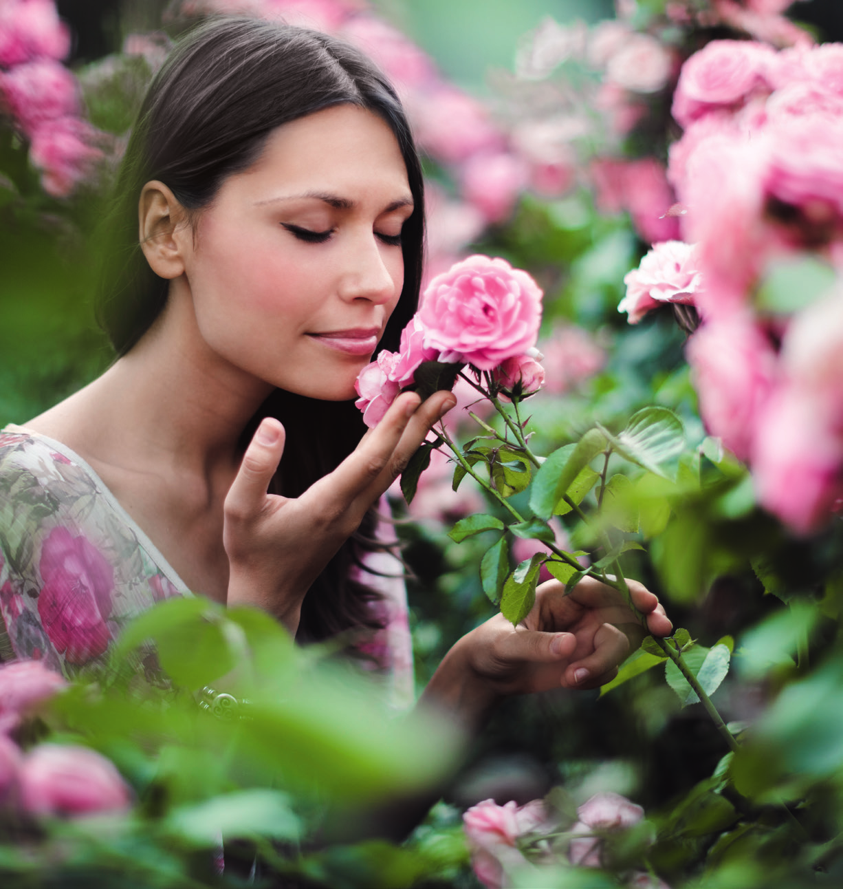 KÖNIGIN DES GARTENS 27.05.2016 und 16.06.2016 Fachseminar Die Rose Erfüllen Sie sich Ihren Traum von einem blühenden Rosengarten.