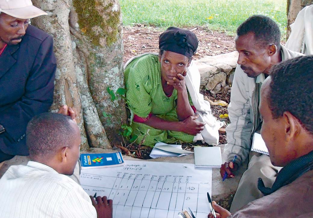 8 Evangelischer Entwicklungsdienst 2011/2012 Äthiopien Was haben Termitenbe - kämpfung und Boden ver - besserung gebracht?