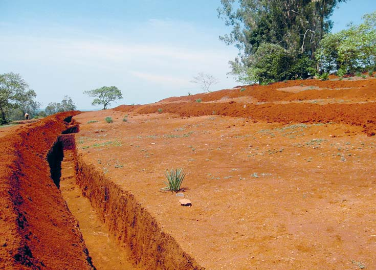 10 Evangelischer Entwicklungsdienst 2011/2012 Rote Erde, kahl und un - fruchtbar: Überweidung durch Vieh ist im Westen Äthiopiens eine Haupt - ursache für die Boden - erosion.