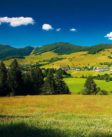 Tourismus und Freizeit Kulturlandschaft mit hohem Freizeitwert und voller Lebensqualität Von der Schweizer Grenze am Hochrhein auf 300 Metern bis hinauf zum Feldberg mit fast 1.