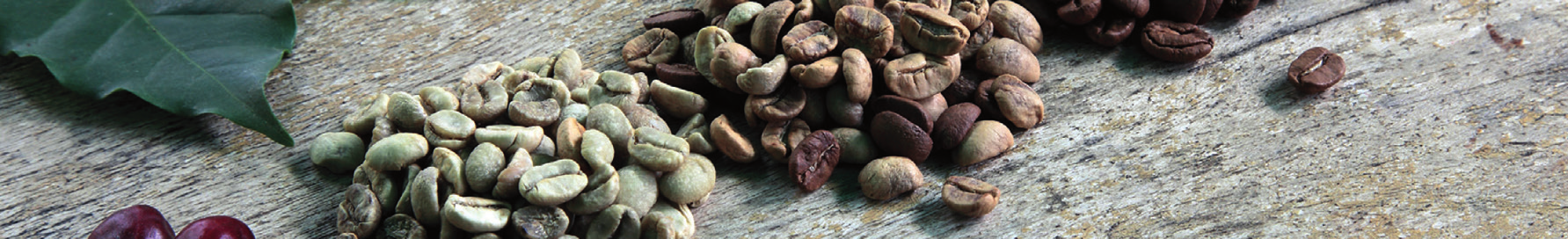 Unsere Kaffeesorten 100% Arabica Brazil Aus der Cerrado Region, den Savannen Zentral-Brasiliens, stammt dieser echte Arabica. Feine Zitrus- und Karamellnote.