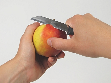 Durchführung Durchführung Ablauf Schäle einen Apfel (Abb. 2) und reiben ihn auf einer Reibe. Abb.
