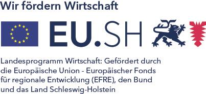 Bürgerinformation zum Bericht über die Durchführung des Operationellen Programms EFRE Schleswig-Holstein 2014-2020 in den Jahren 2014 und 2015 1.