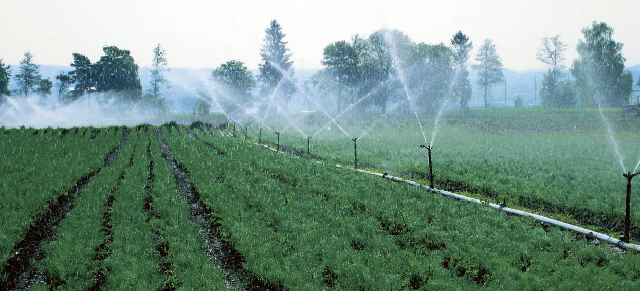 Virtuelles Wasser Mit «virtuellem Wasser» bezeichnet man das Wasser, das im Ausland (siehe Anhang 1) für die Produktion von landwirtschaftlichen (60 Pro zent vom Wasserverbrauch im Aus land) und