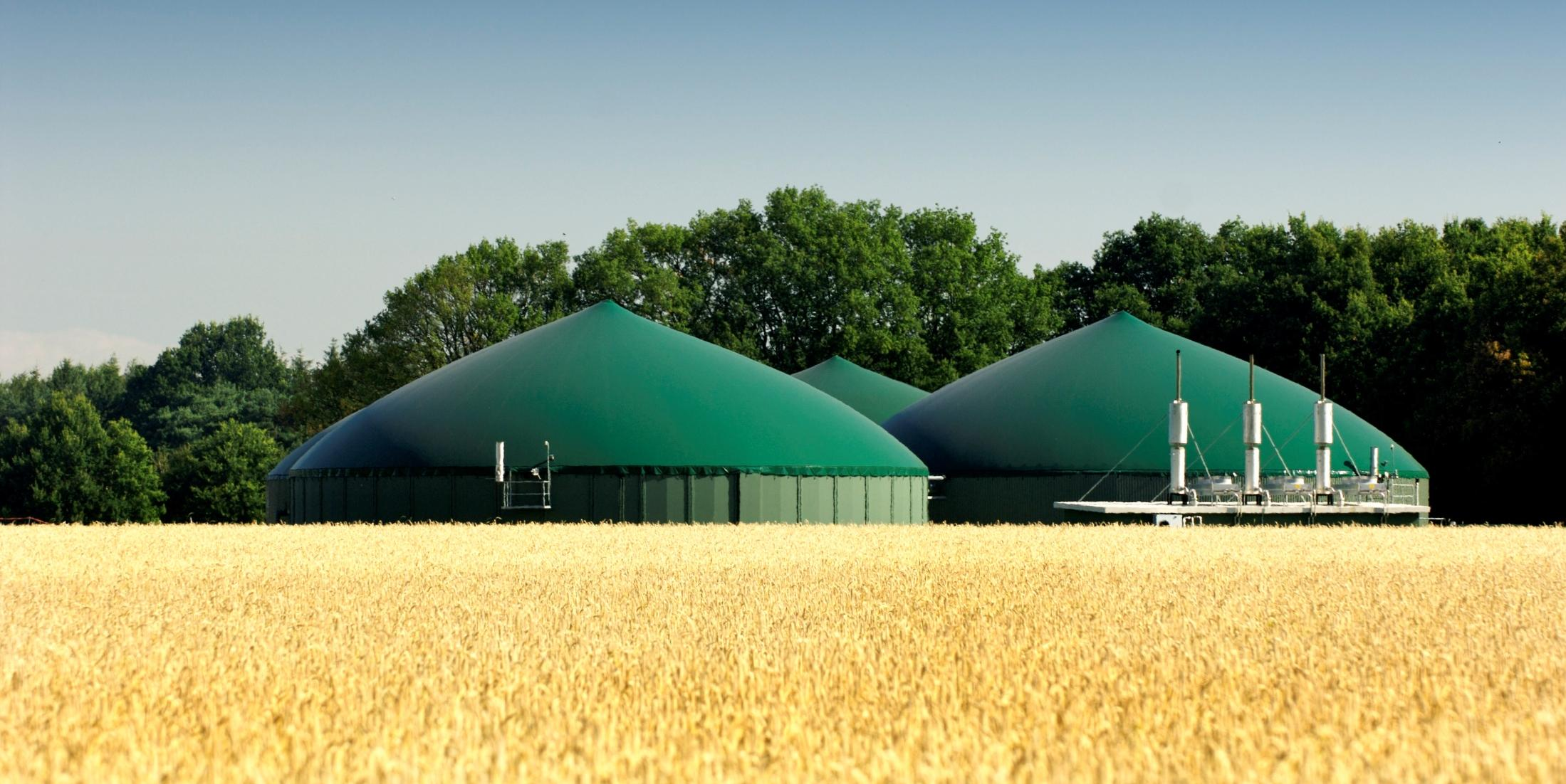 EEG 2012 Chancen und Perspektiven für Biogas Dr.-Ing.