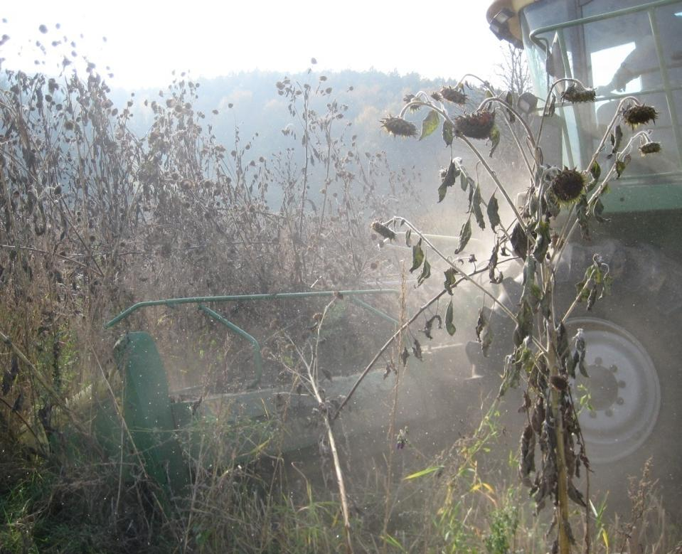 Bayerische Landesanstalt für Weinbau und Gartenbau (LWG)