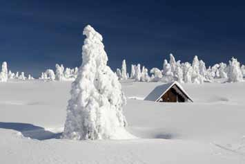 Sicherheit Schneelast Sicherheitshinweise zur Schneelast Ebenso wie die Windlast gehört die Schneelast zu den klimatisch bedingten und veränderlichen Einwirkungen auf Baukörper.