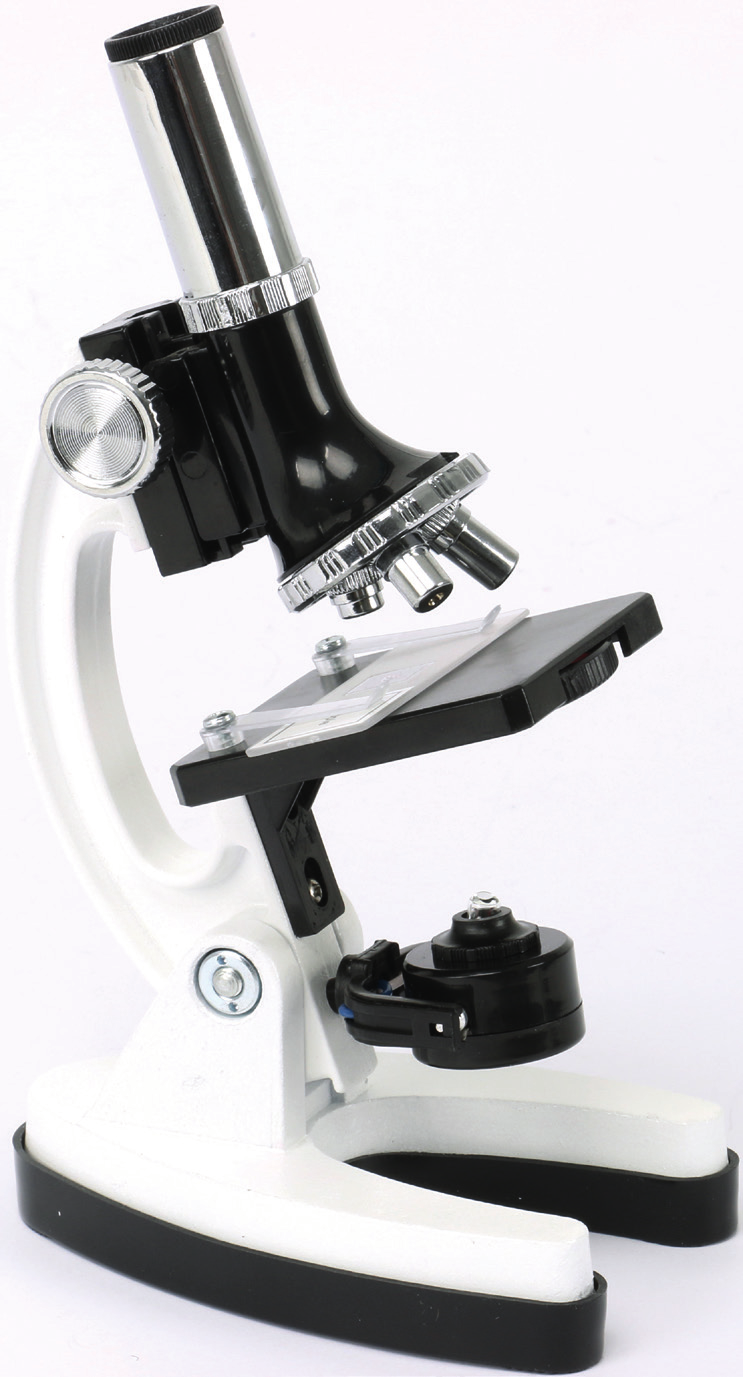 Bedienelemente Mikroskop 1 2 3 4 5 6 7 8 9 1 Tubus Beinhaltet ein integriertes Okular (10x) zum Hineinsehen in das Mikroskop. 2 Fokusrad Verstellt die Höhe des Körperrohrs und somit die Fokussierung.