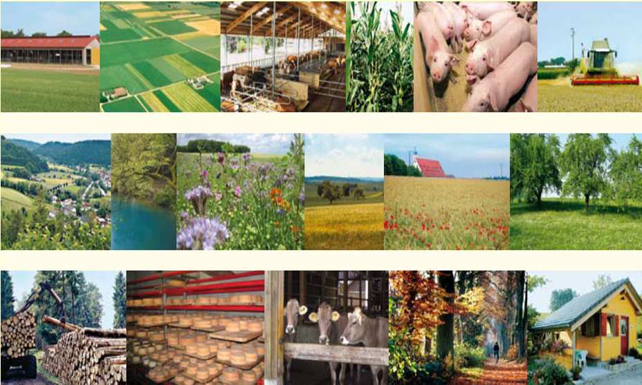 Folie 19 Europäische Innovationspartnerschaft (EIP) Produktivität und Nachhaltigkeit in der Landwirtschaft Ziel: Ressourceneffizienz, Brückenbildung zwischen Forschung und Praxis, generelle Förderung