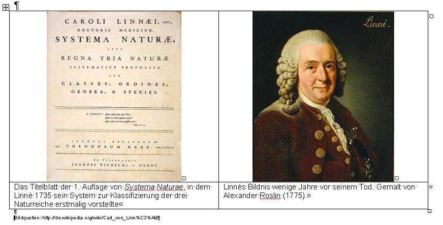 2. Versuch: Carl von Linné(1707 1778) Einteilung der Lebewesen nach morphologischen Kriterien