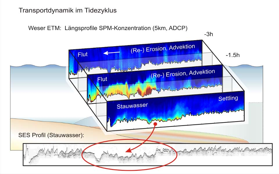 Dynamik des Suspensionstransports im Tidezyklus Weser Neben Daten zur Strömungsrichtung und stärke lassen sich mit einem Acoustic Doppler Current Profiler (ADCP) auch Aussagen zur