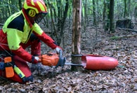 Wenn Sie in einem dicht bewachsenen Wald arbeiten, kann ein Fällboy bei der Arbeit helfen.