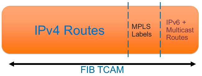 Cisco 7609 BGP Routing Table FIB /
