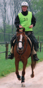 12 pferderecht Susanne Güldenpfennig-Hinrichs ihres Zeichens Rechtsanwältin und Notarin, ist als Juristin spezialisiert auf Pferderecht.