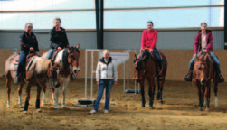 Trainiert wurden die Disziplinen Trail, Horsemanship, Pleasure, Reining, Showmanship at Halter.