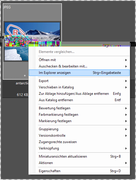 Element im Windows-Explorer öffnen Sie können sich jederzeit im Daminion-Browser die OriginalDateien der Elemente im Windows-Explorer anzeigen lassen.