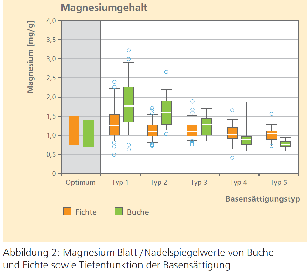 Magnesium Blatt- und Nadelspiegelwerte von Buche und Fichte sowie Tiefenfunktion der Basensättigung (Bayern) Kein Mg-