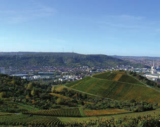 700 Hektar) im Eigentum der Landeshauptstadt. Weitere 41 Prozent (2.000 Hektar) gehören dem Land Baden-Württemberg.