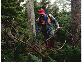 Grundlage für die Erhebung der Verjüngung ist das 1991 für die Waldinventur angelegte Stichprobennetz.
