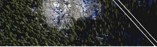 ALBRECHT (1990) und MEYER et al. (2001). Zur wissenschaftlichen Beobachtung der Waldentwicklung nach großflächigem Sturmwurf im Nationalpark Bayerischer Wald wurde die Transektmethode gewählt.