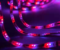 RGB-LED-Strip, Rot, 5 m 20-21 38180 RGB-LED-Strip, Gelb, 5 m 20-21 38182 RGB-LED-Strip, Grün, 5 m 20-21 38186 RGB-LED-Strip, Pink, 5 m 20-21 38224 RGB-LED-Strip, mit Soundcontrol 22-23 38321