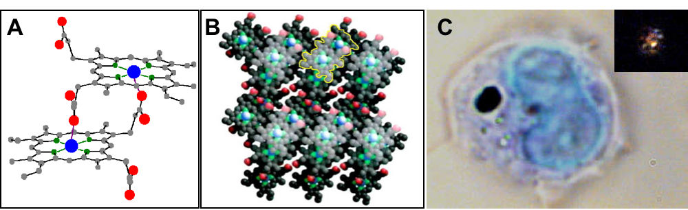 Einleitung Abbildung 8: Struktur von Hämozoin. A) Zu sehen ist ein Hämdimer, das durch Eisen-Carboxylatbindungen der Monomere verbunden ist. B) Dargestellt Hämozoin, als Hämpolymer.