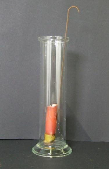 3 Schülerversuche 11 Beobachtung: Die Kerze erlischt. Abb. 10 - Erloschene Kerze im Standzylinder Deutung: Stickstoff unterhält die Verbrennung nicht.