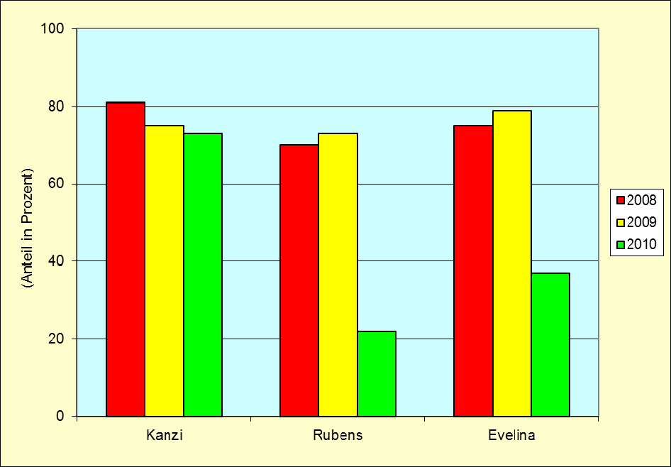 Abbildung 43: Anteil Früchte in der Größenklasse 70-80 mm bei Kanzi, Rubens und Evelina Die mittleren Fruchtgewichte gehen aus Tabelle 12 hervor.