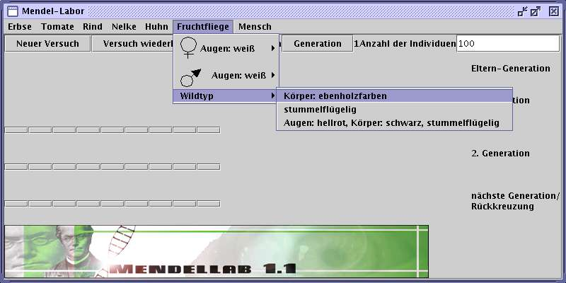 Mendel Labor, Euregio Kolleg, Würselen 11/13 14.7.04 Abbildung 16 Hier sind die Eltern nicht mehr frei wählbar, wie in den ersten Versuchen.