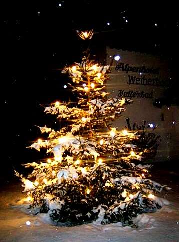 Spätestens an den Tagen vor Heiligabend wird der Christbaum (oder auch Weihnachtsbaum) geschmückt. Die Tradition stammt etwas aus dem 17. Jahrhundert.