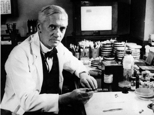 Historische Überblick der Chirurgie Entdeckung von Penicillin Alexander Fleming (1881-1955)