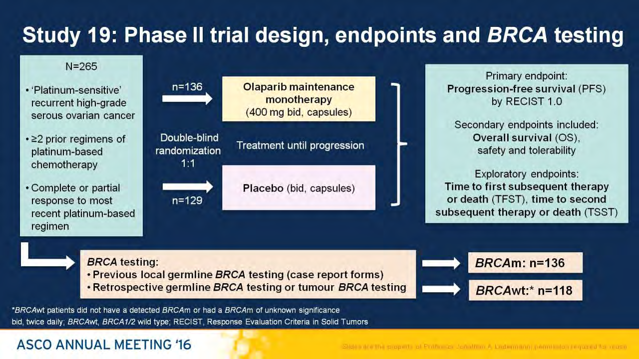 Study 19: Phase II trial design, endpoints and BRCA testing