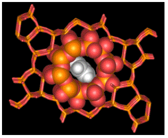 Folie 22 Trennungsstrategie Polarität Moleküle mit ähnlicher Polarität adsorbieren am besten Moleküle mit abweichender Polarität