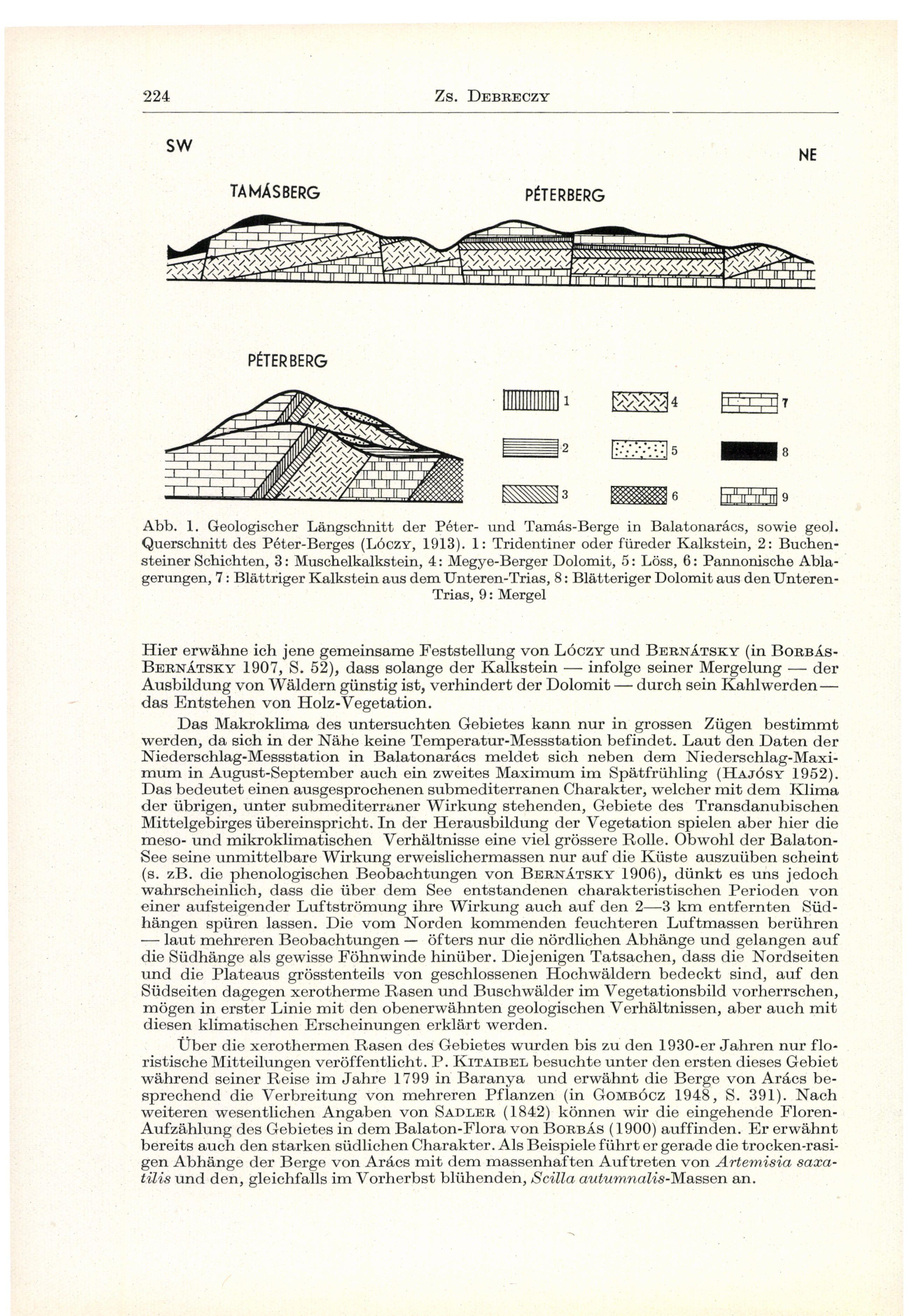 Abb. 1, Geologischer Längschnitt der Péter- und Tamás-Berge in Balatonarács, sowie geol. Querschnitt des Péter-Berges (LÓCZY, 1913).