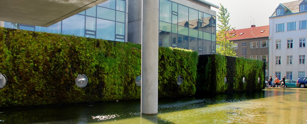 Island, Reykjavik City Hall, the moss