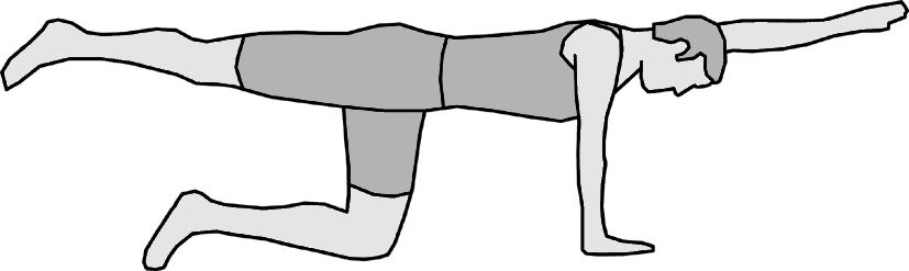 1. Station Rückenzirkel Kräftigung der unteren Rücken- und Gesäßmuskulatur Vierfüßlerstand Ein Arm und das Gegenbein