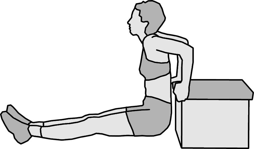 5. Station Rückenzirkel Kräftigung der hinteren Armmuskulatur (Trizeps) Rücklings mit den Händen auf einem Kasten