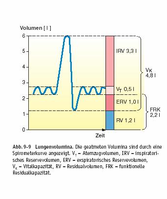 M=dα(F/χ) P d: Diffusionskoeffizient, α: Bunsenscher Absorptionskoeffizient, M: Gasmenge pro Zeiteinheit, F: Membranfläche D LCO