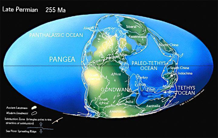B.3. Perm (296-251 Ma) Durch die Kollision der Kontinente Laurussia, Sibiria und Kasachstan entstand der Superkontinent Pangäa, der erstmals alle Landmassen vereinigte (Abb. B.4) (Stanley 1994).