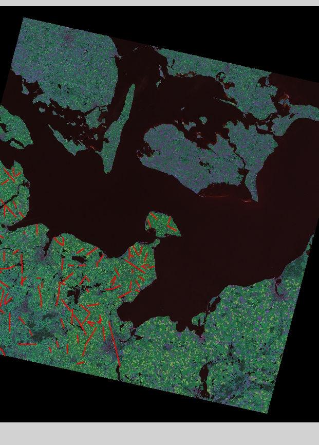 die Lineamentkartierung zur Erfassung von Feuchteanomalien im Gebiet Schleswig-Holstein erfolgte unter Verwendung der Satellitenbildszenen 036-253 und 036-208 des Satelliten Landsat 7 vom 08.05.