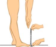 Testung Beweglichkeit Durchführung: Den Patienten maximal nach vorne beugen lassen, die Knie sind dabei gestreckt. Der Patient steht.