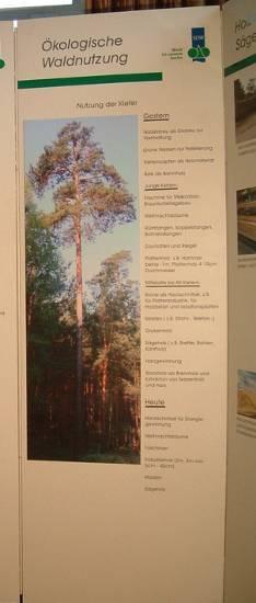 6. Tafel: Ükologische Waldnutzung Kiefern - Nutzung gestern und heute. 7.