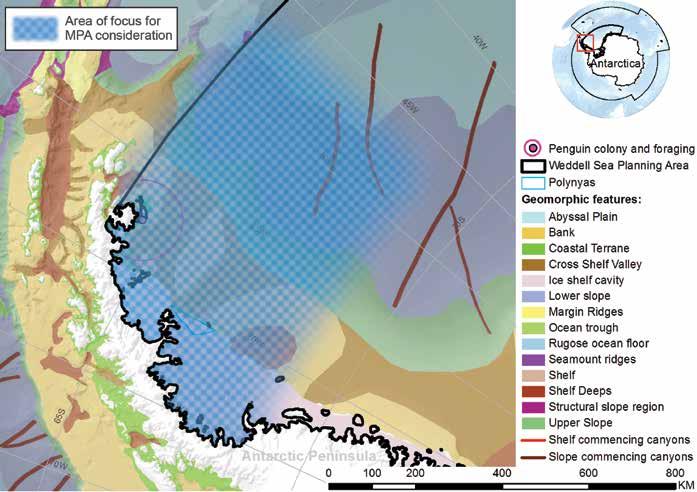 WESTLICHES WEDDELL-SCHELF Foto David Neilson Das westliche Weddell-Schelf umfasst Gebiete und Merkmale von kritischer Bedeutung, die für ein künftiges Meeresschutzgebiet in Betracht gezogen werden,
