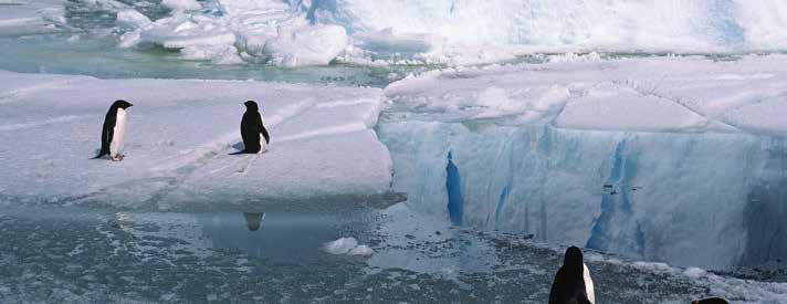 ARGUMENTE FÜR DEN MEERESSCHUTZ Foto David Neilson Die AOA vertritt die Ansicht, dass signifikante Teile des Weddell-Meeres und der Lazarev-See vor der Küste des Königin-Maud-Lands, die innerhalb des